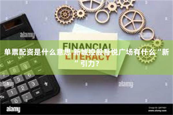 单票配资是什么意思 新城控股吾悦广场有什么“新”引力？