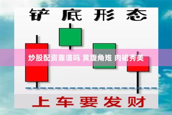 炒股配资靠谱吗 黄腹角雉 肉裙秀美