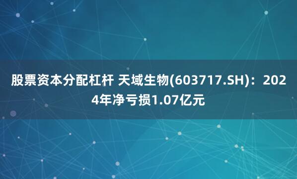 股票资本分配杠杆 天域生物(603717.SH)：2024年净亏损1.07亿元