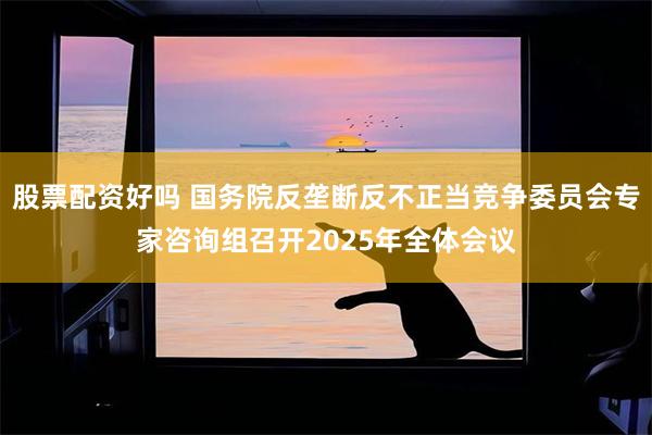 股票配资好吗 国务院反垄断反不正当竞争委员会专家咨询组召开2025年全体会议