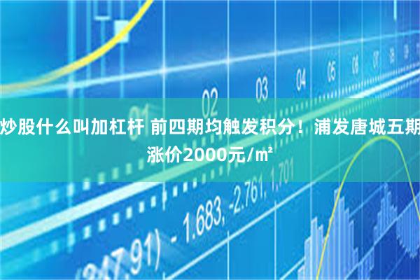 炒股什么叫加杠杆 前四期均触发积分！浦发唐城五期涨价2000元/㎡