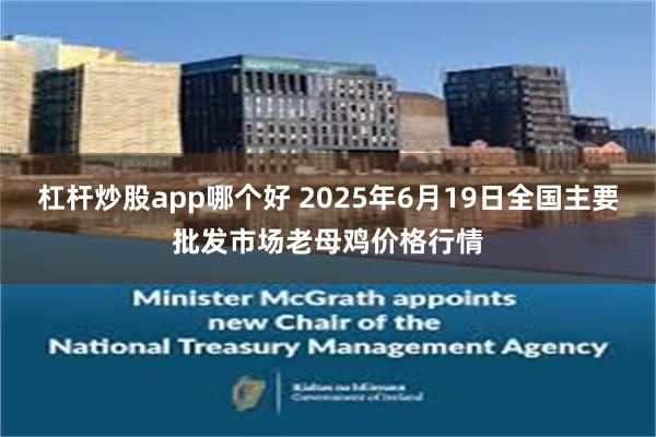 杠杆炒股app哪个好 2025年6月19日全国主要批发市场老母鸡价格行情