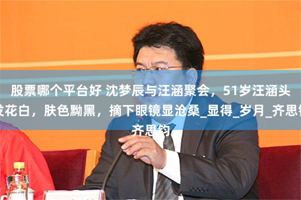 股票哪个平台好 沈梦辰与汪涵聚会，51岁汪涵头发花白，肤色黝黑，摘下眼镜显沧桑_显得_岁月_齐思钧
