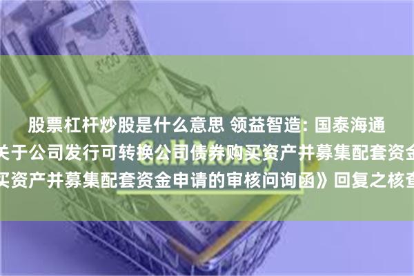 股票杠杆炒股是什么意思 领益智造: 国泰海通关于深圳证券交易所《关于公司发行可转换公司债券购买资产并募集配套资金申请的审核问询函》回复之核查意见