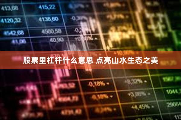 股票里杠杆什么意思 点亮山水生态之美