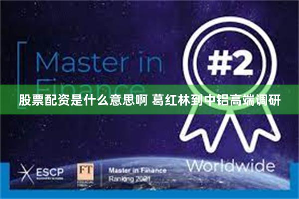 股票配资是什么意思啊 葛红林到中铝高端调研