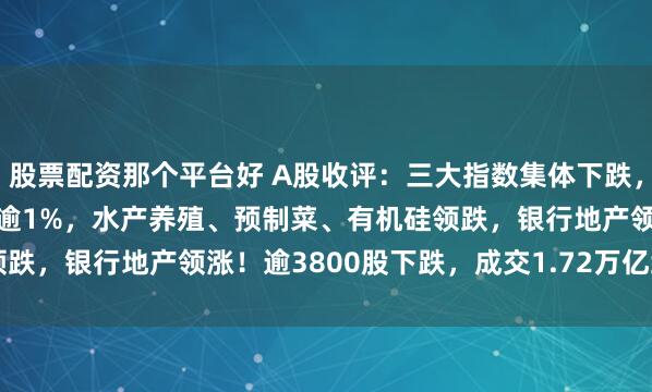 股票配资那个平台好 A股收评：三大指数集体下跌，沪指跌0.4%创业板指跌逾1%，水产养殖、预制菜、有机硅领跌，银行地产领涨！逾3800股下跌，成交1.72万亿缩量200亿